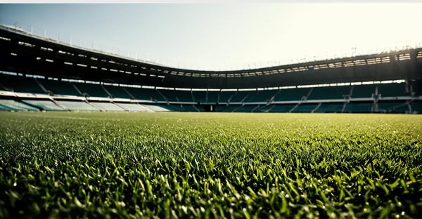 Tout savoir sur le choix de votre terrain de sports idéal